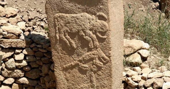 Göbekli2012-1